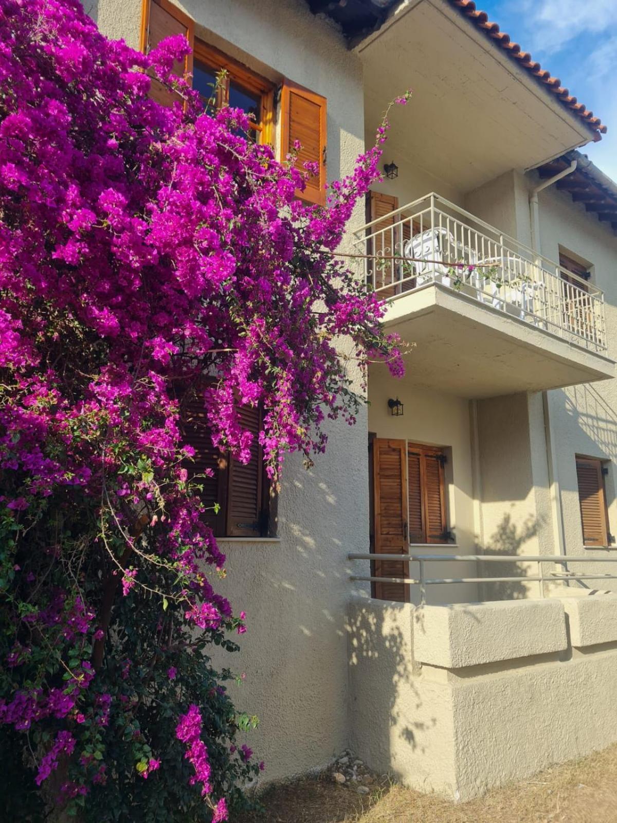 Long Summer Syvota Exterior photo